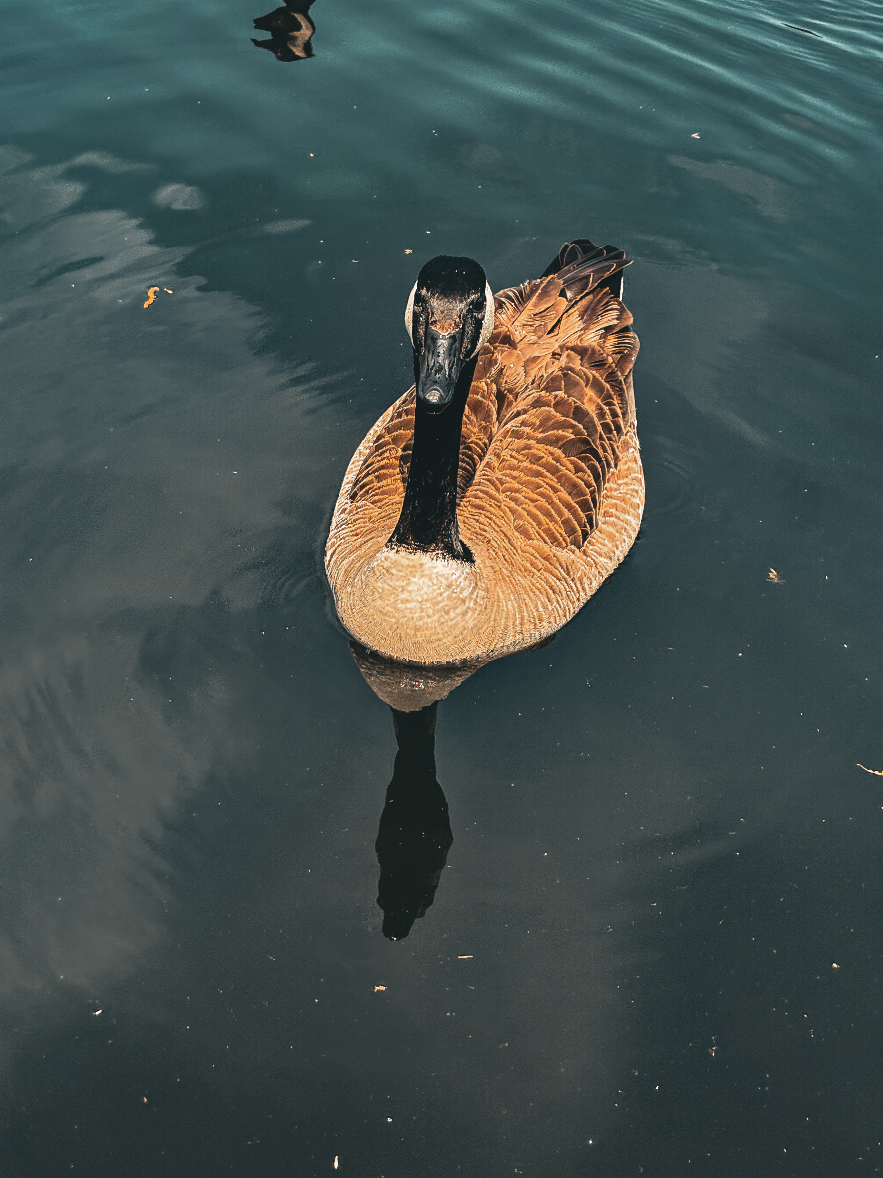 Jackson Hughes Photography