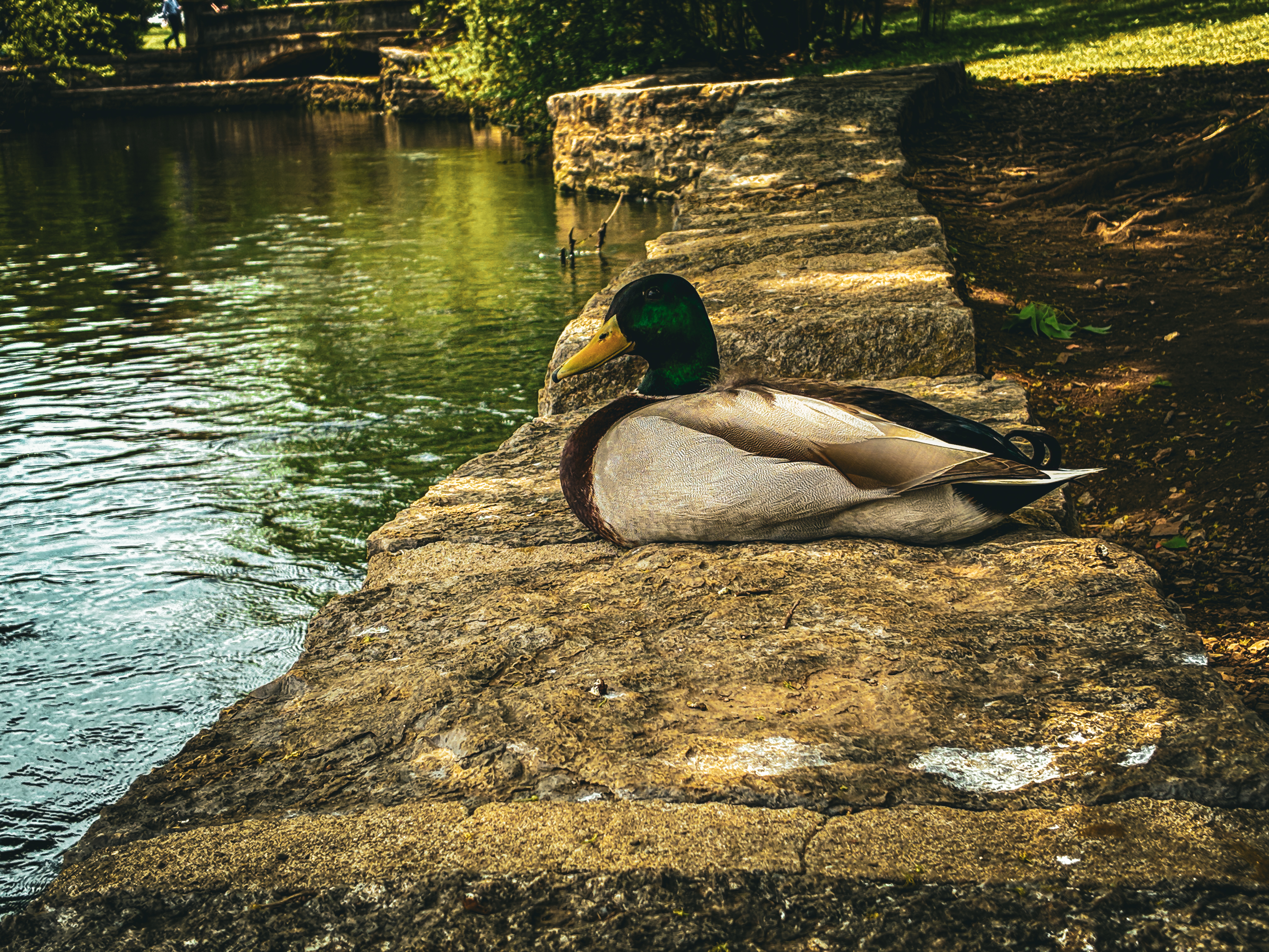 Jackson Hughes Photography
