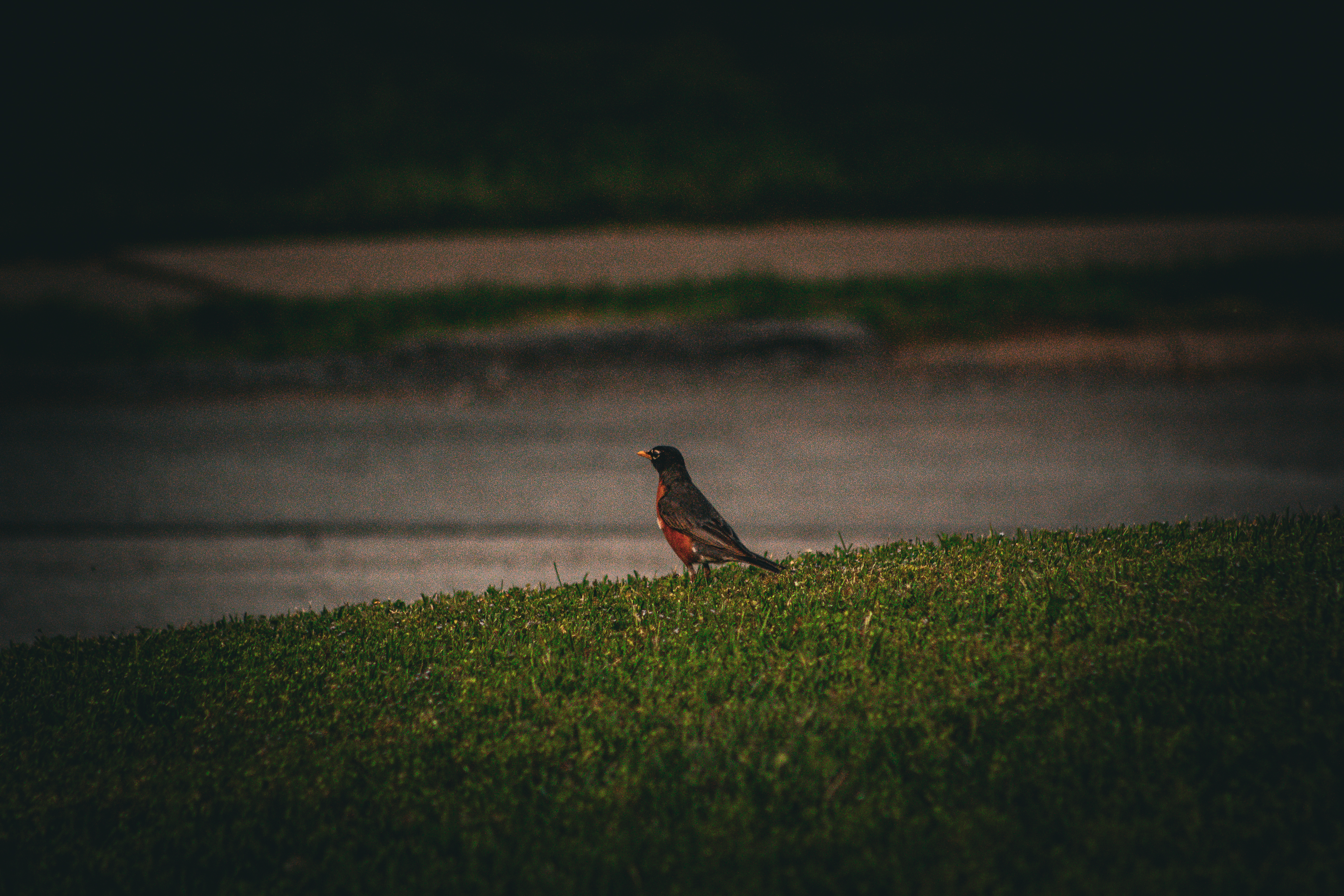Jackson Hughes Photography